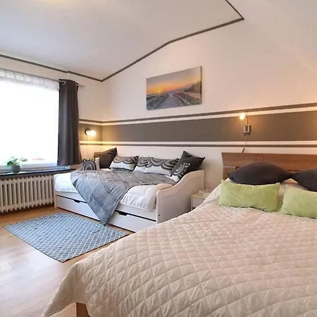 In With Swimming Pool *